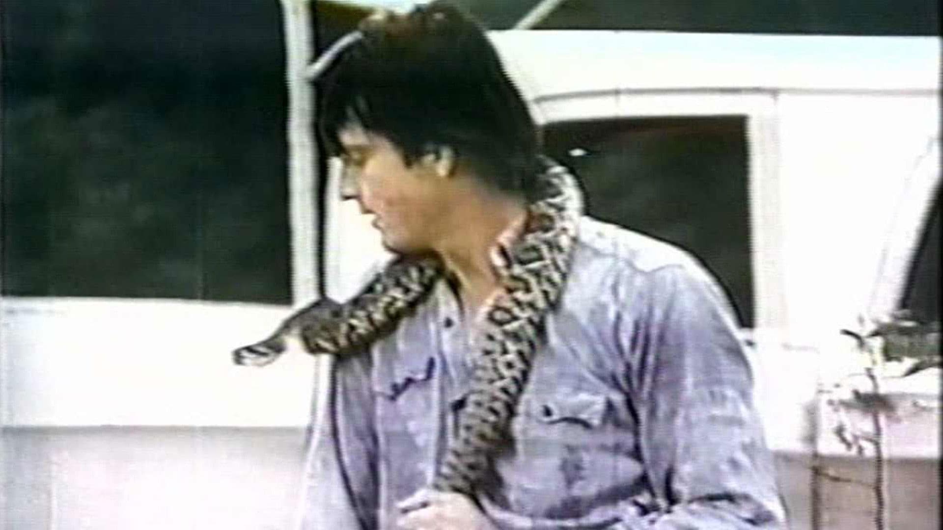 Poster backdrop for Stanley