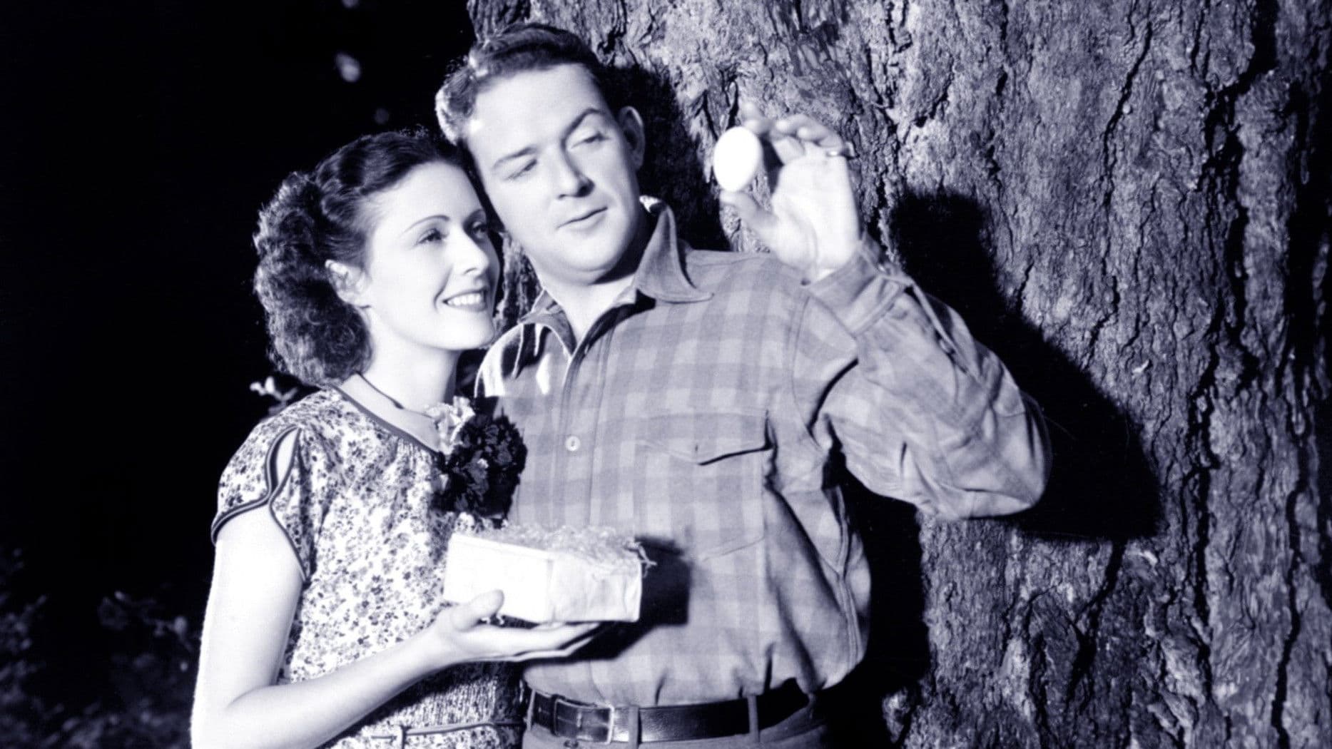 Poster backdrop for Fury and the Woman