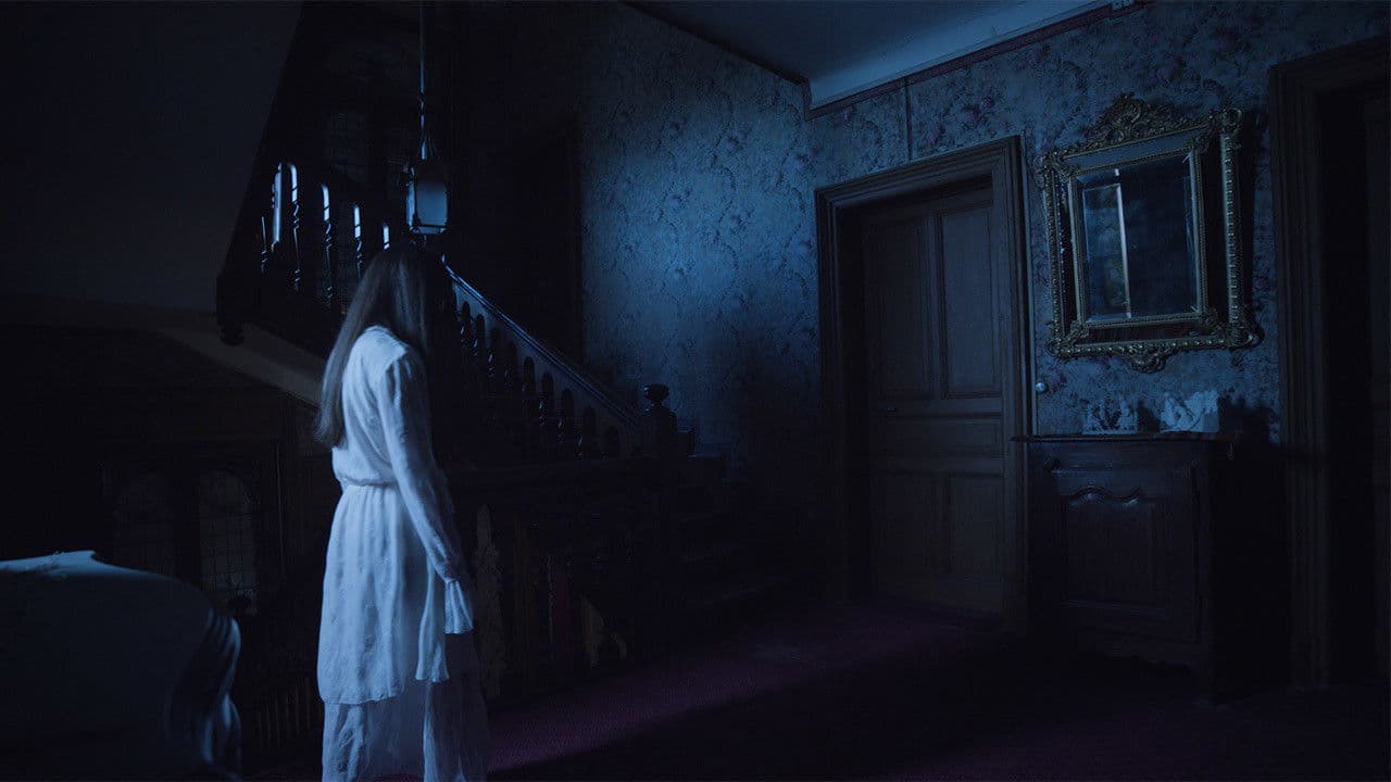 Poster backdrop for The Follower