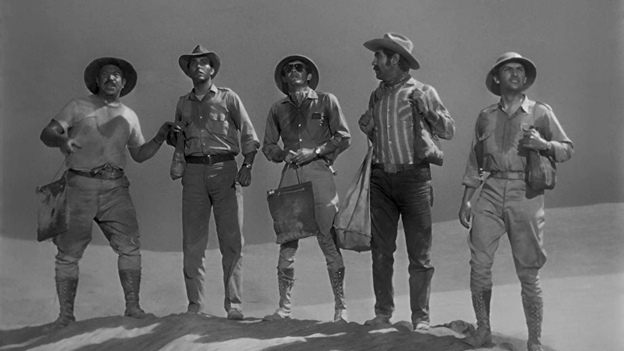 Poster backdrop for Black Wind