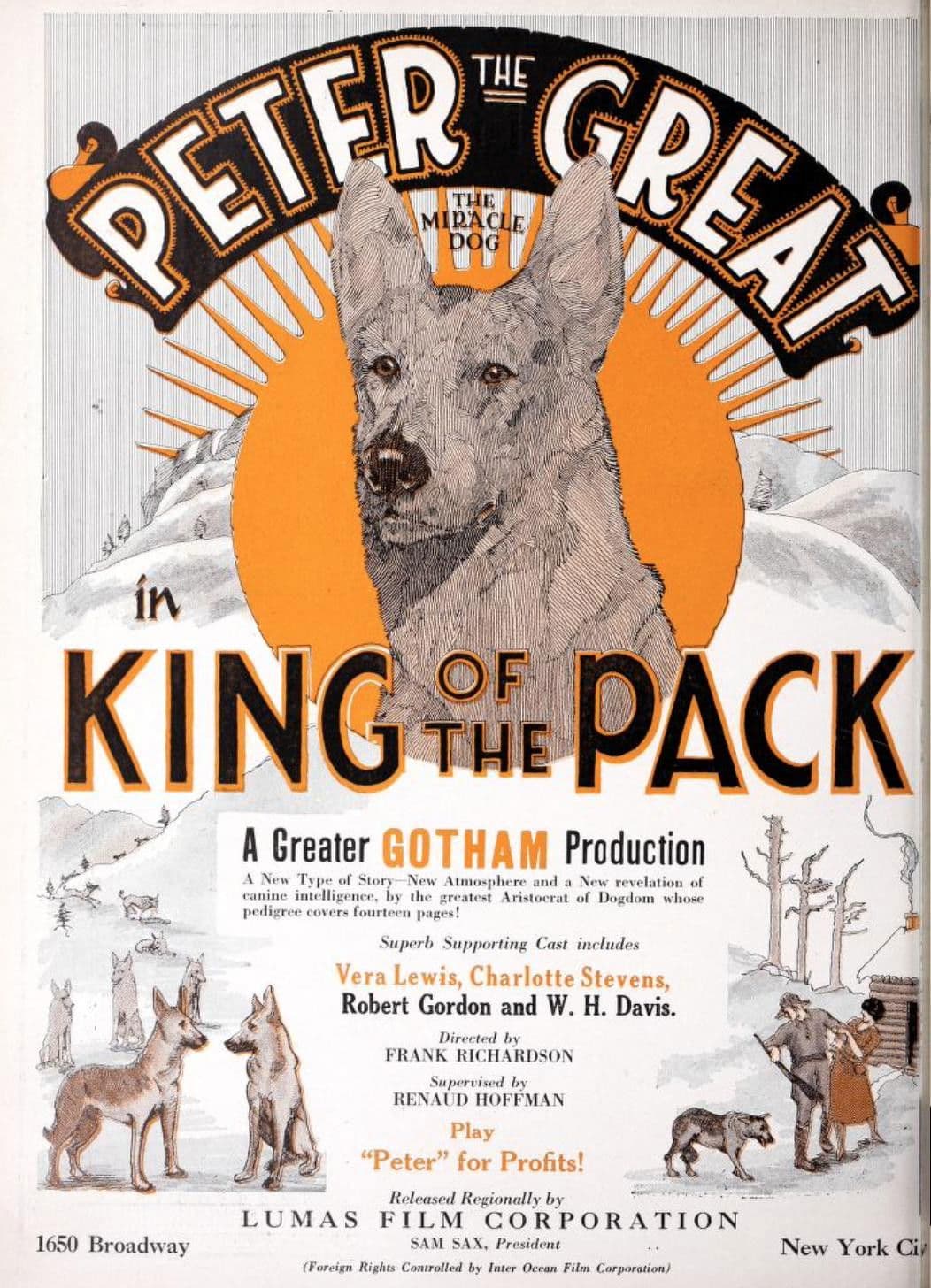 Poster backdrop for King of the Pack