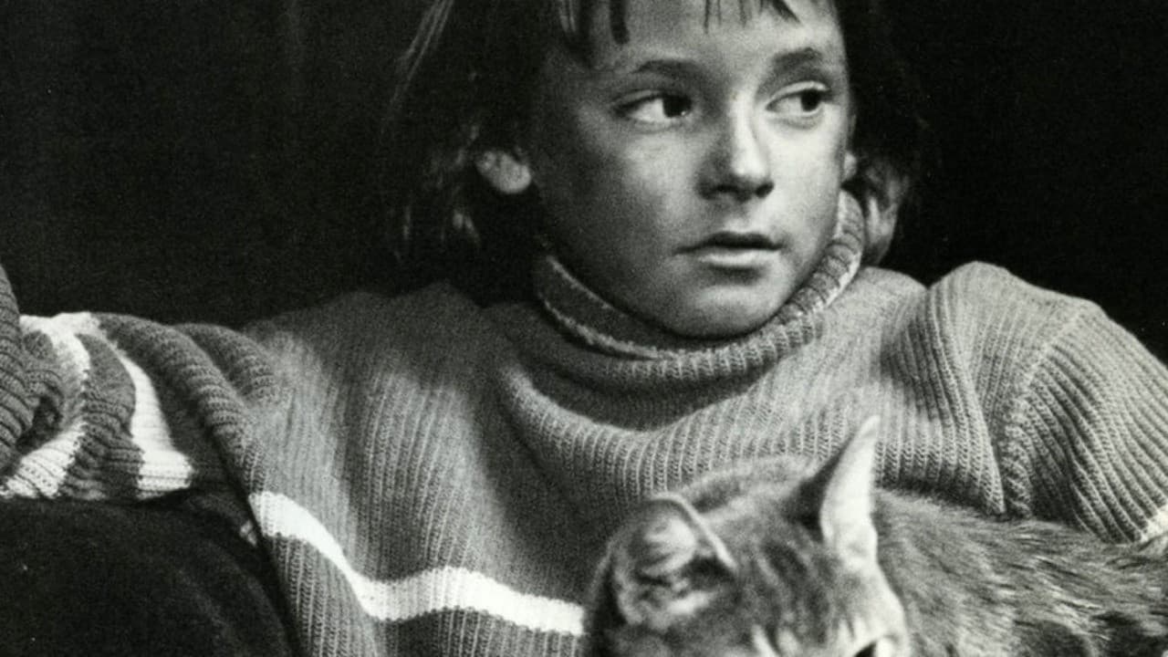 Poster backdrop for The Alley Cat