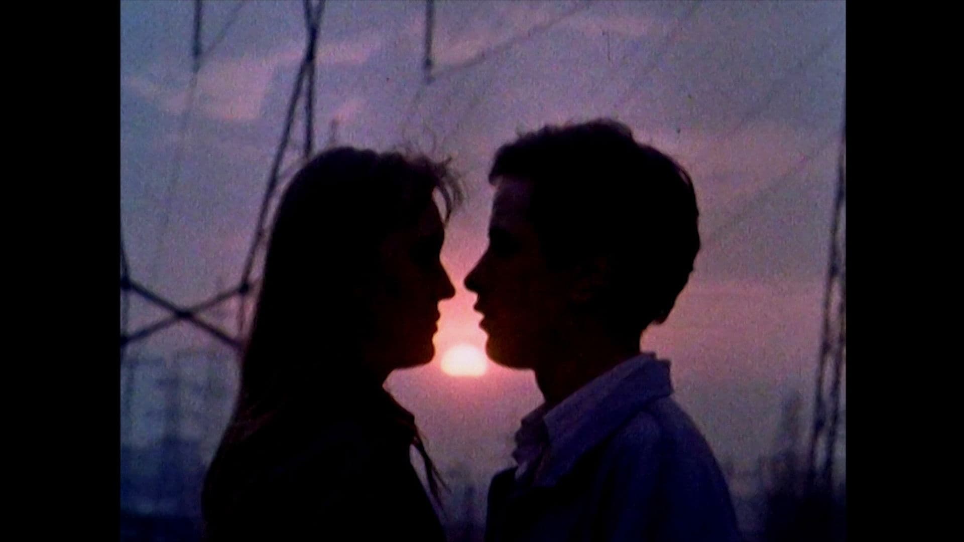 Poster backdrop for Last Love