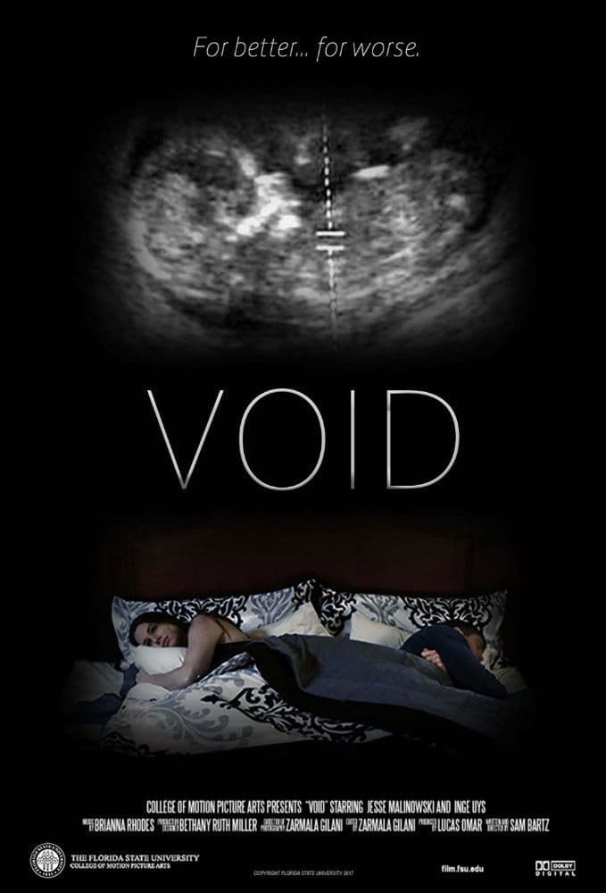 Poster backdrop for Void