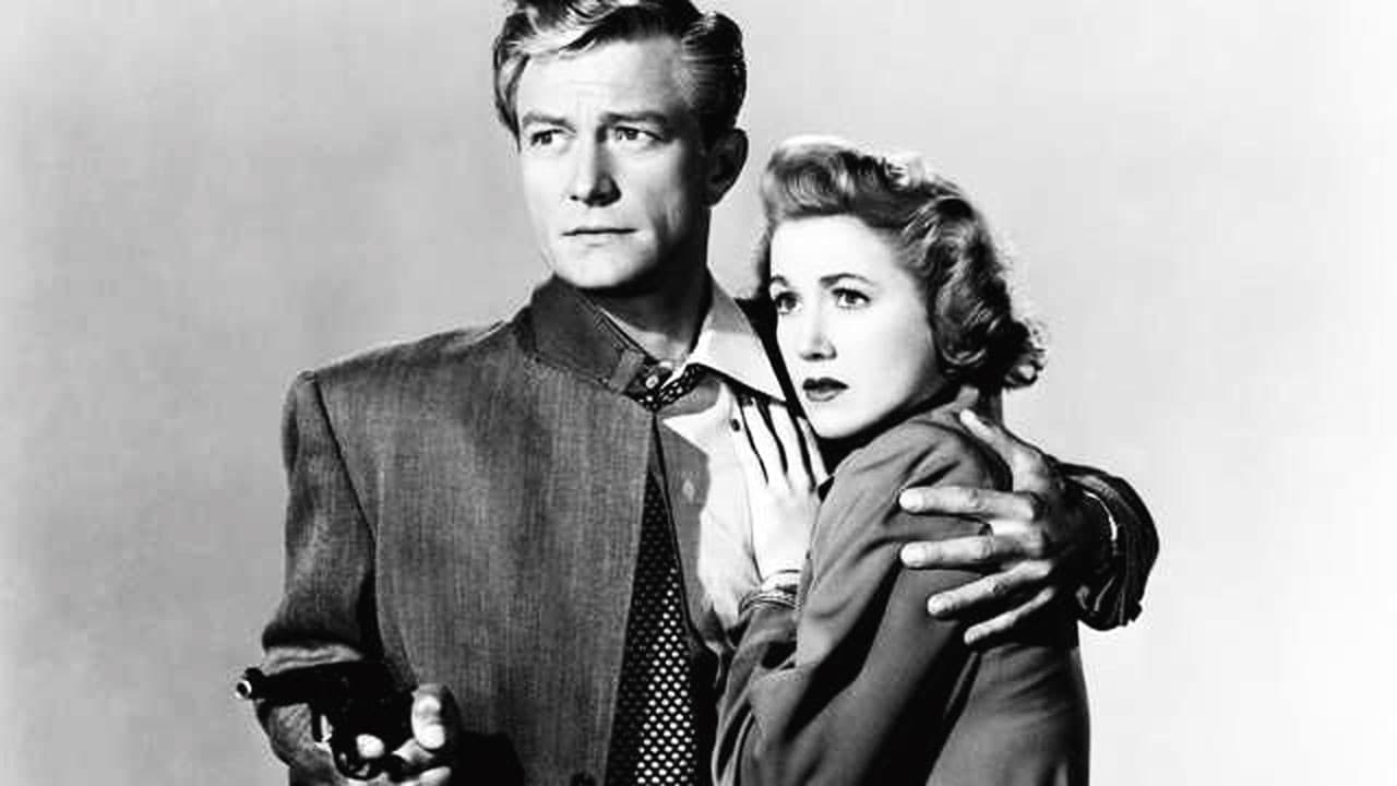 Poster backdrop for Insurance Investigator