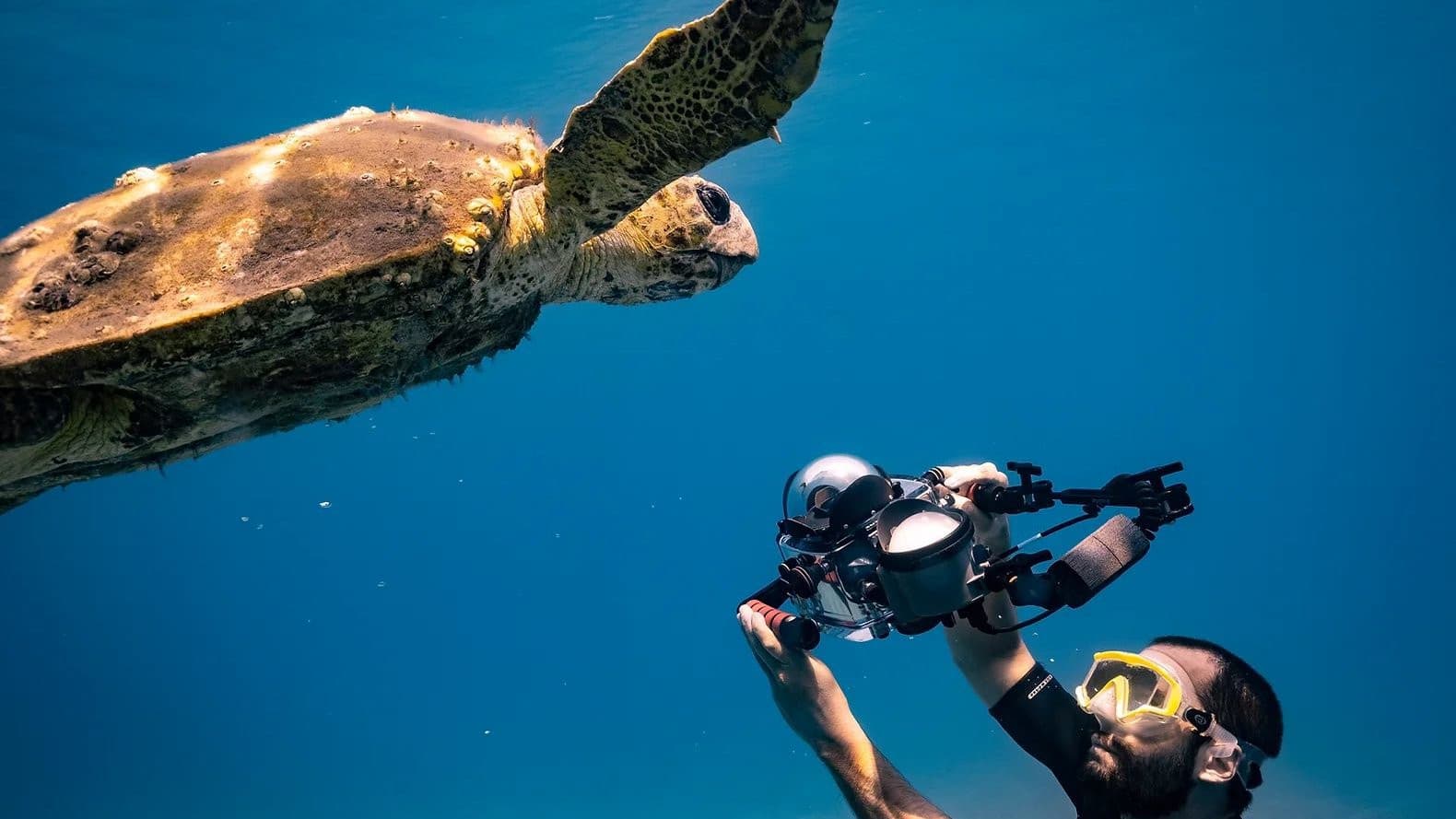 Poster backdrop for Mediterranean: Life Under Siege