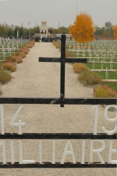 Poster backdrop for And the Pain Remains