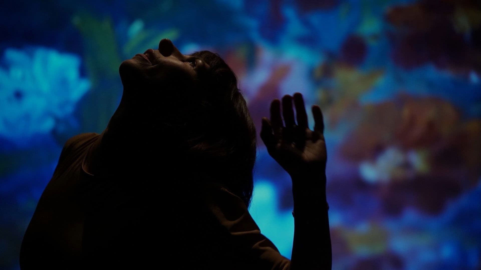 Poster backdrop for Still Nature