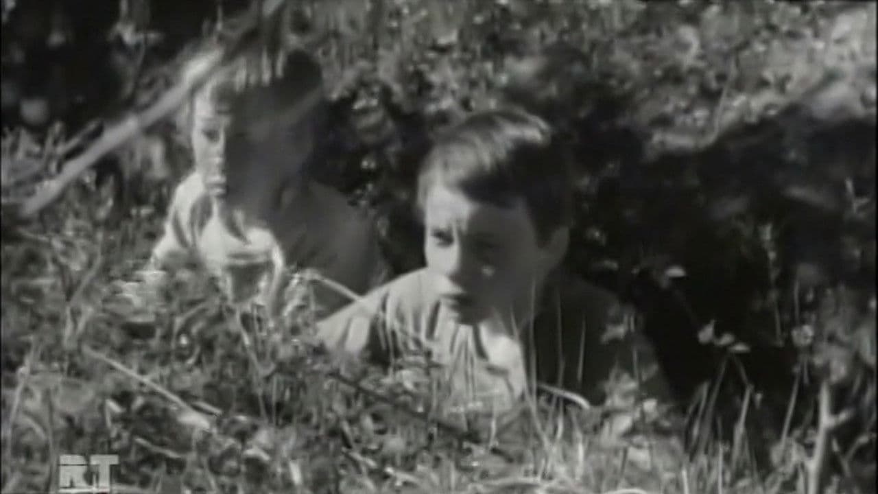 Poster backdrop for The White Weathervane