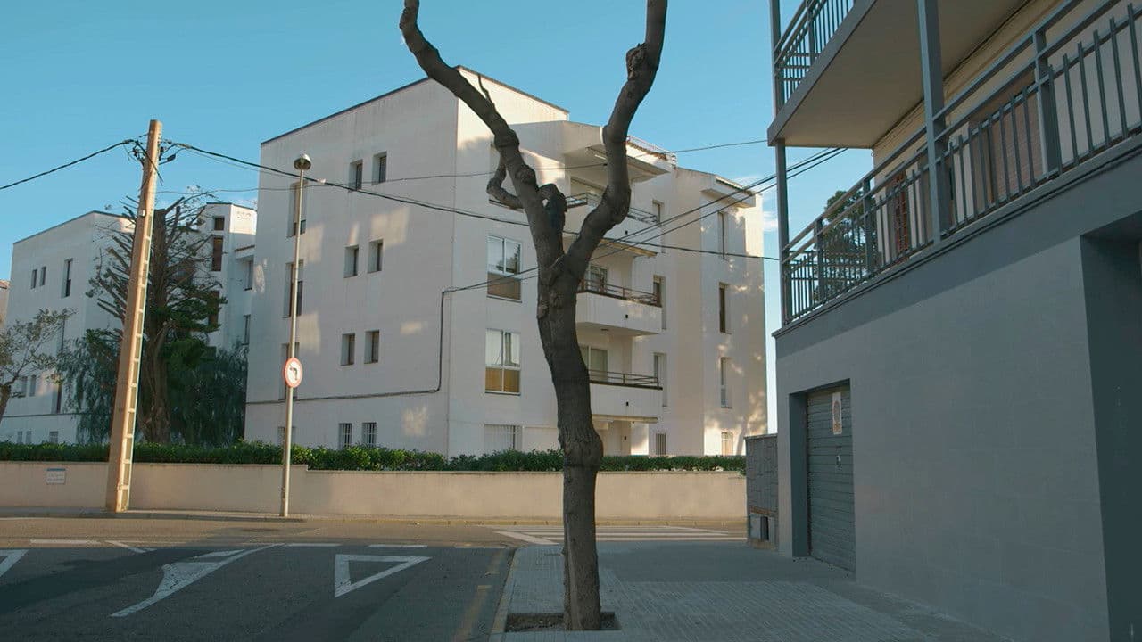 Poster backdrop for With Sea Views