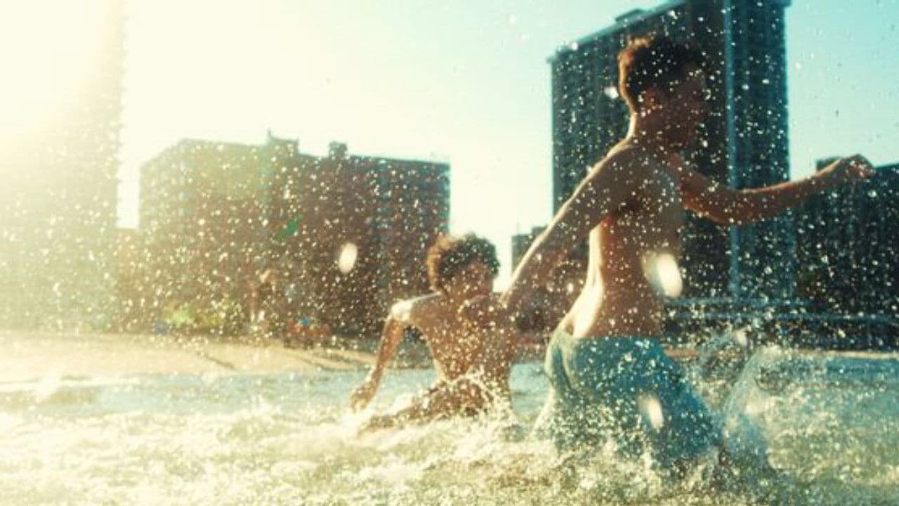 Poster backdrop for Hummingbirds