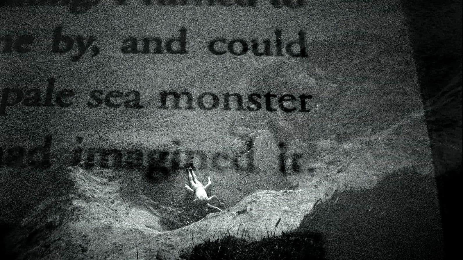 Poster backdrop for Patience (After Sebald)