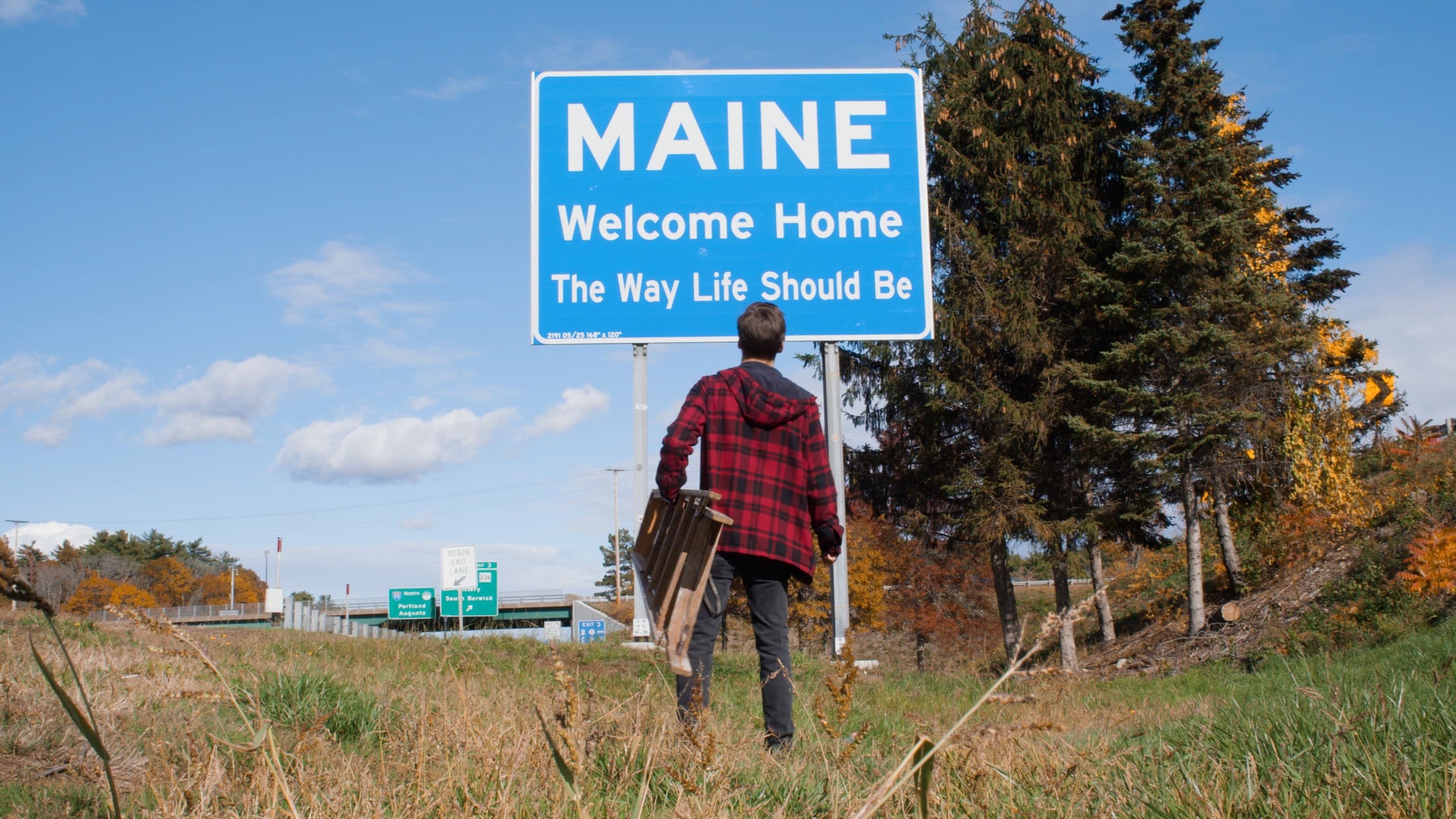 Poster backdrop for The Second Bird