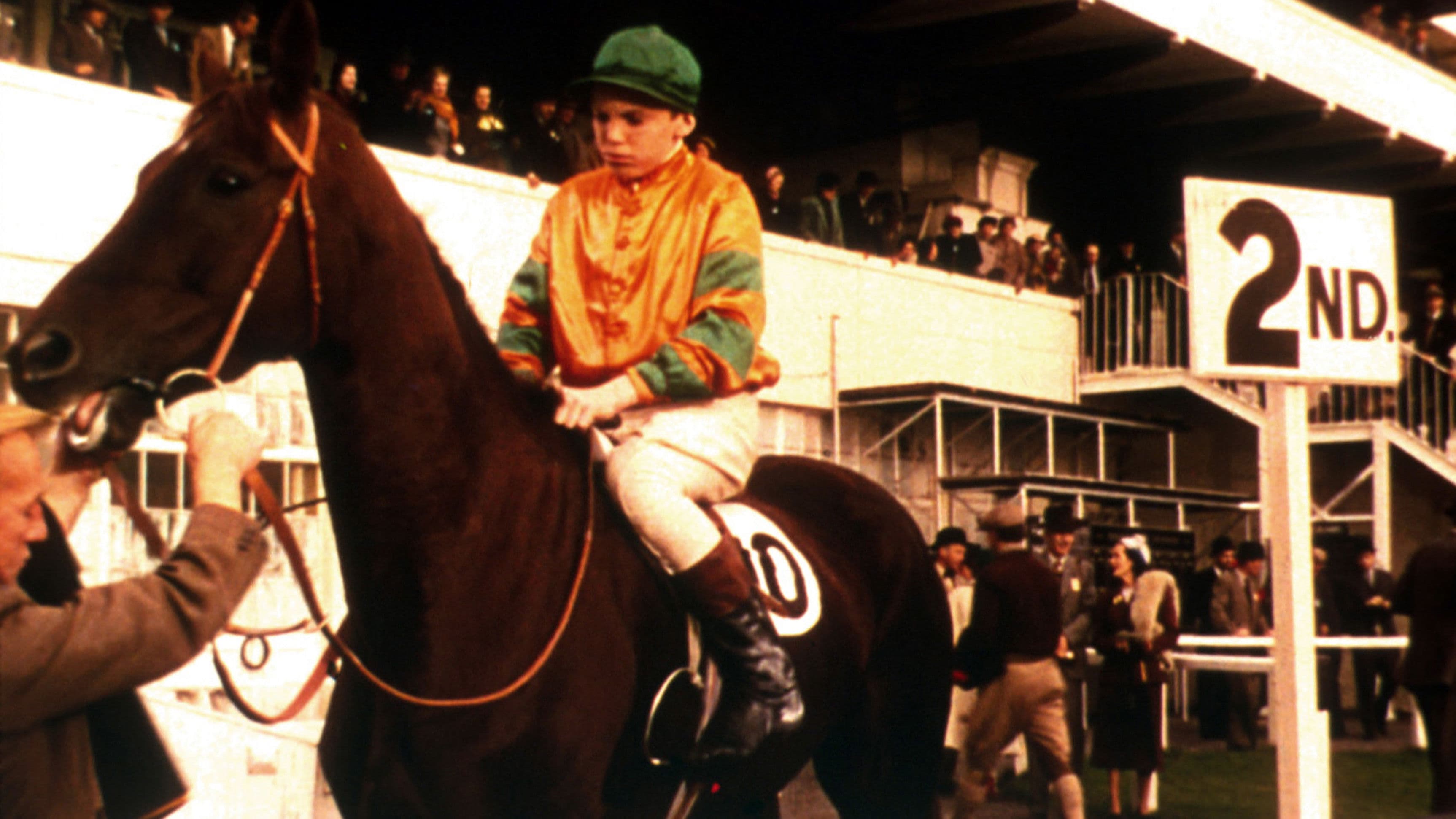 Poster backdrop for The Rainbow Jacket