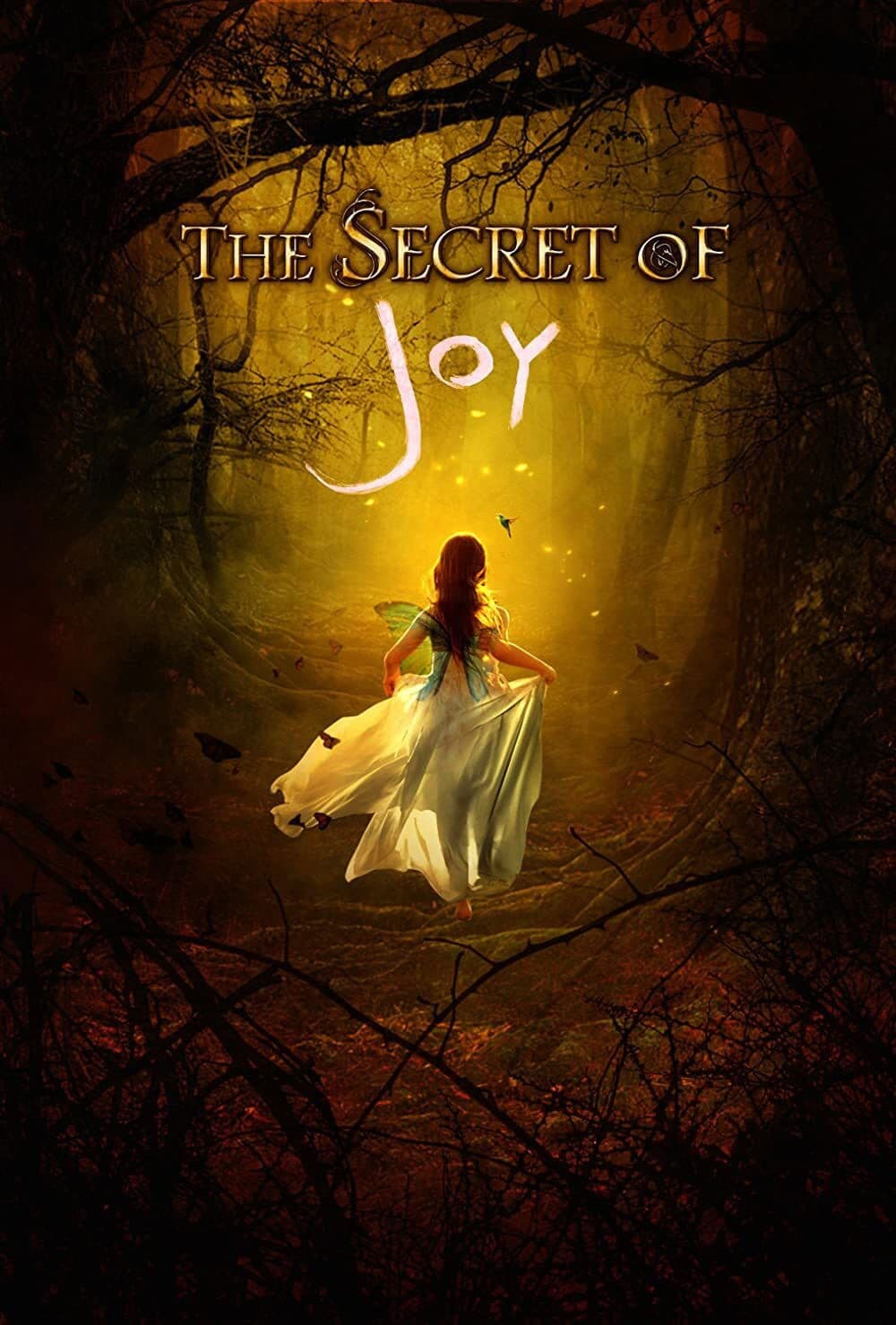 Poster backdrop for The Secret of Joy