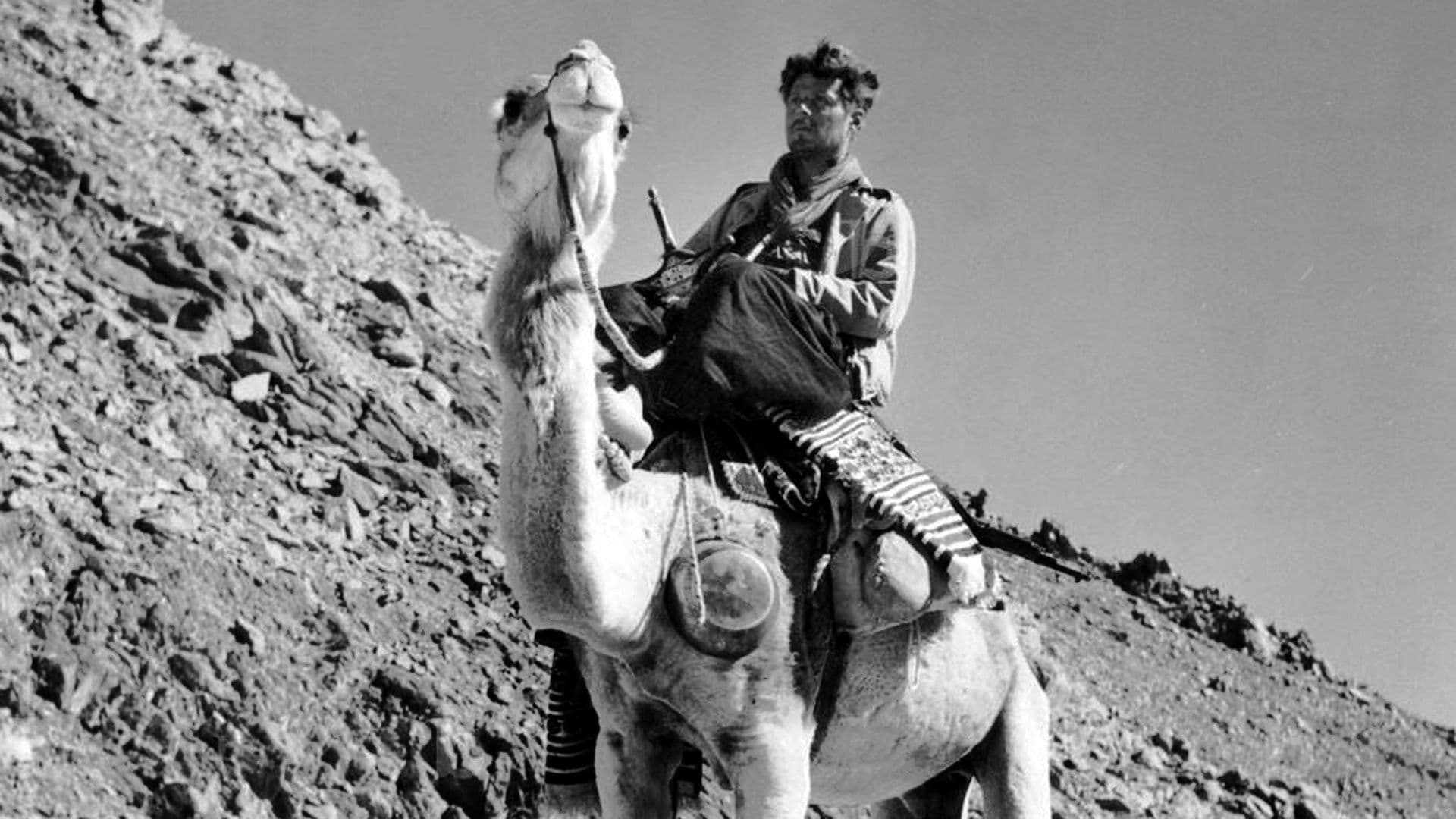 Poster backdrop for The Frison-Roche Track