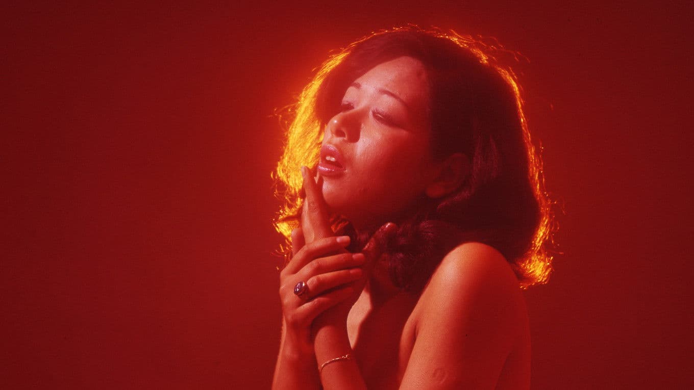 Poster backdrop for The Shadow on the Wall