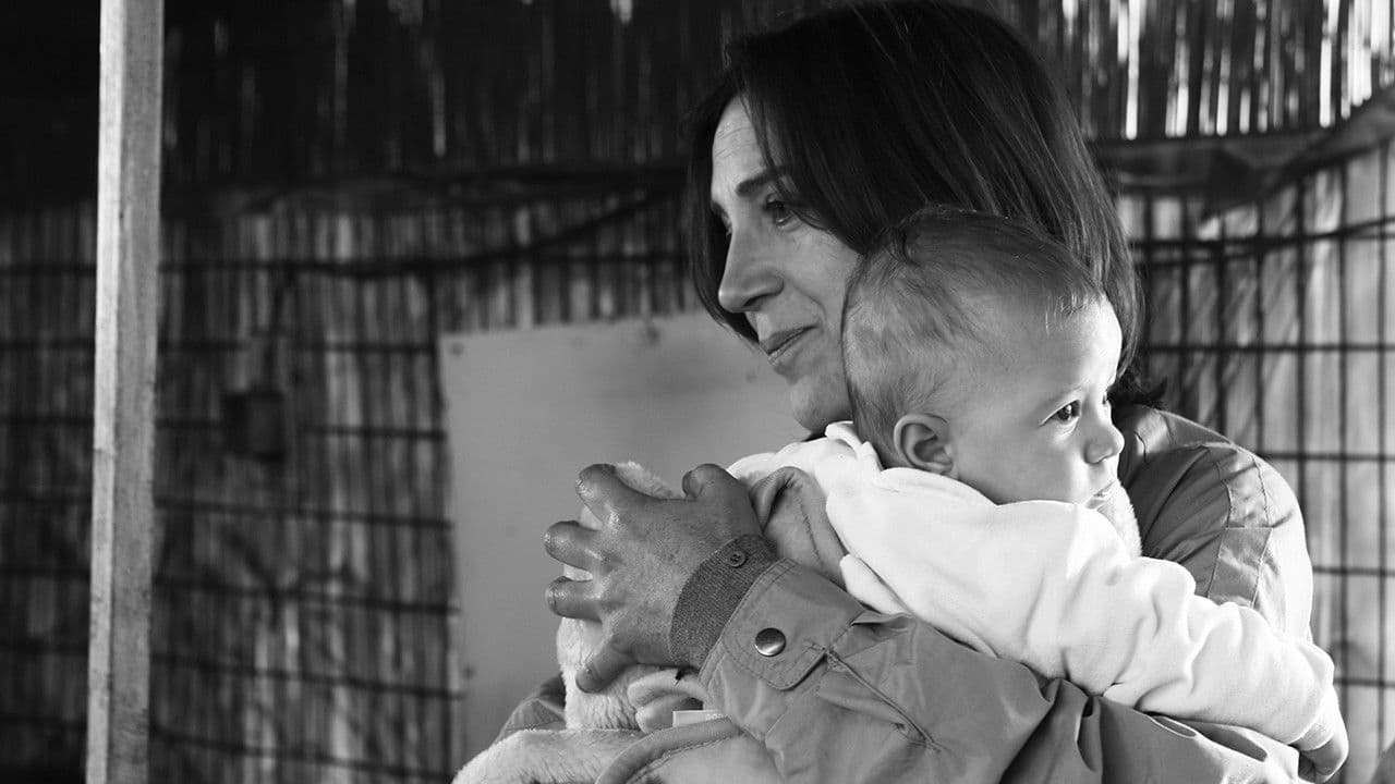 Poster backdrop for Joy