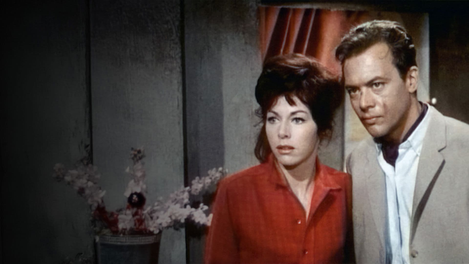 Poster backdrop for Hong Kong Hot Harbor