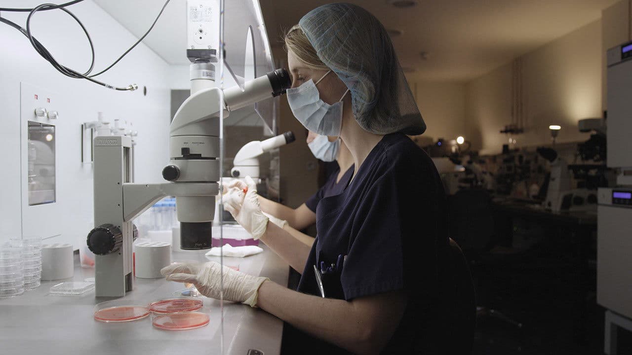 Poster backdrop for Future Baby