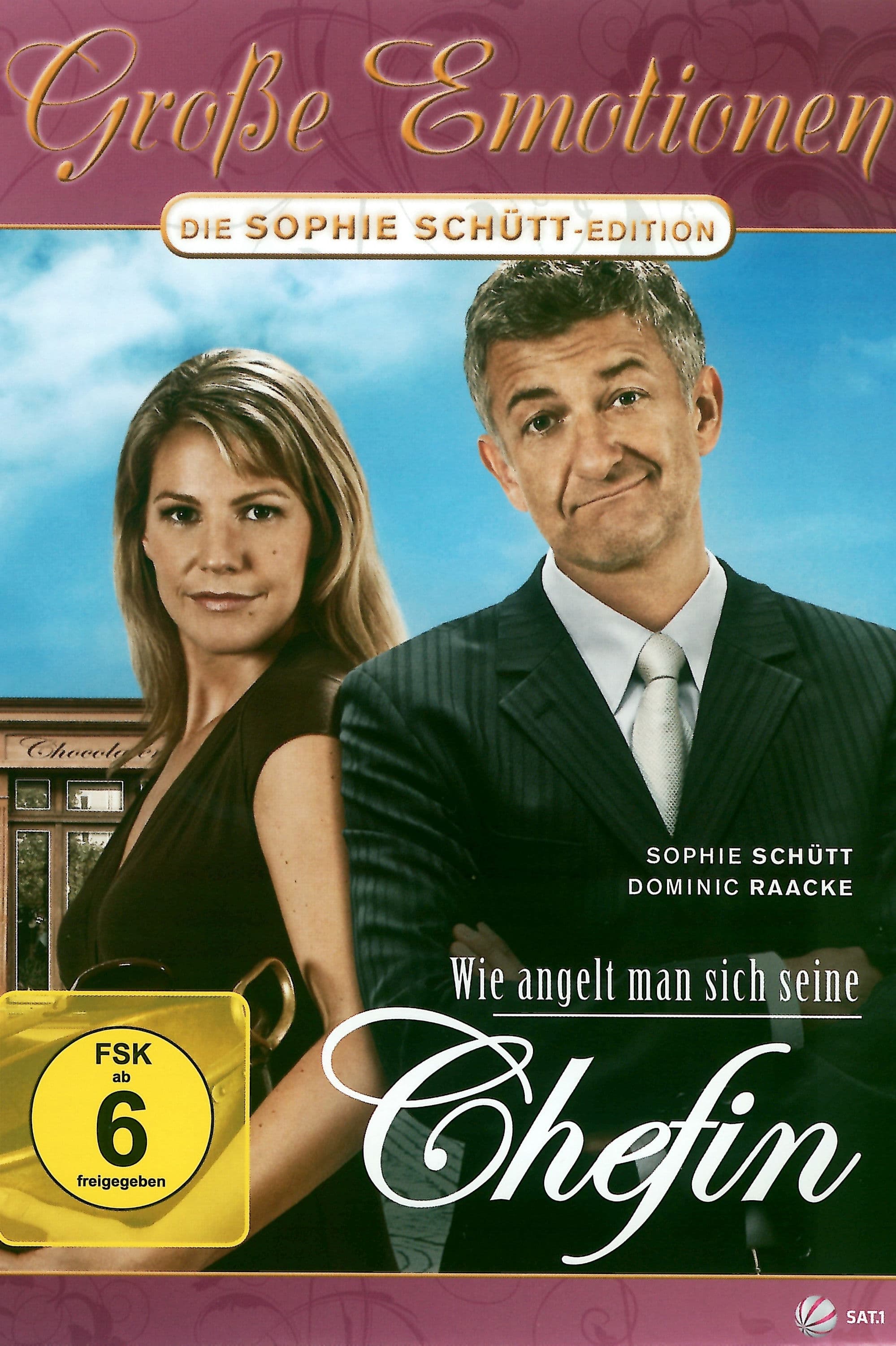 Poster backdrop for Wie angelt man sich seine Chefin