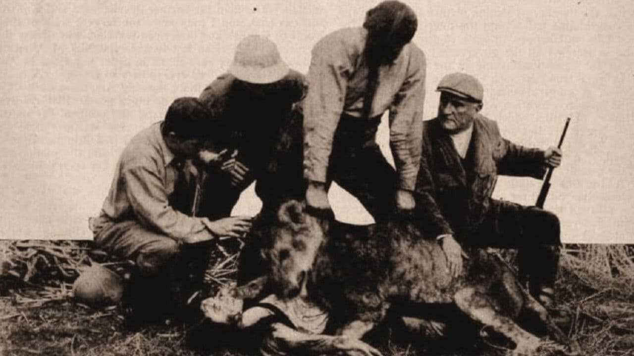 Poster backdrop for Alone in the Jungle