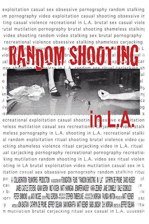 Poster backdrop for Random Shooting in LA
