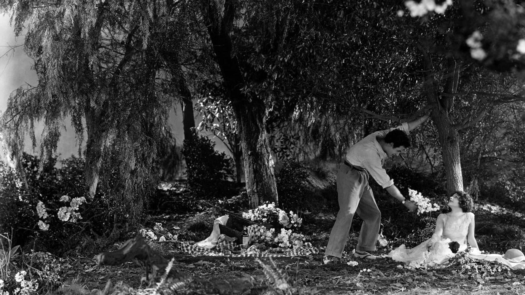 Poster backdrop for Camille: The Fate of a Coquette