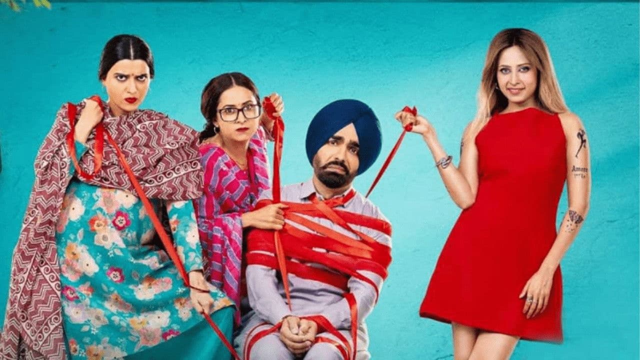 Poster backdrop for Saunkan Saunkanay 2