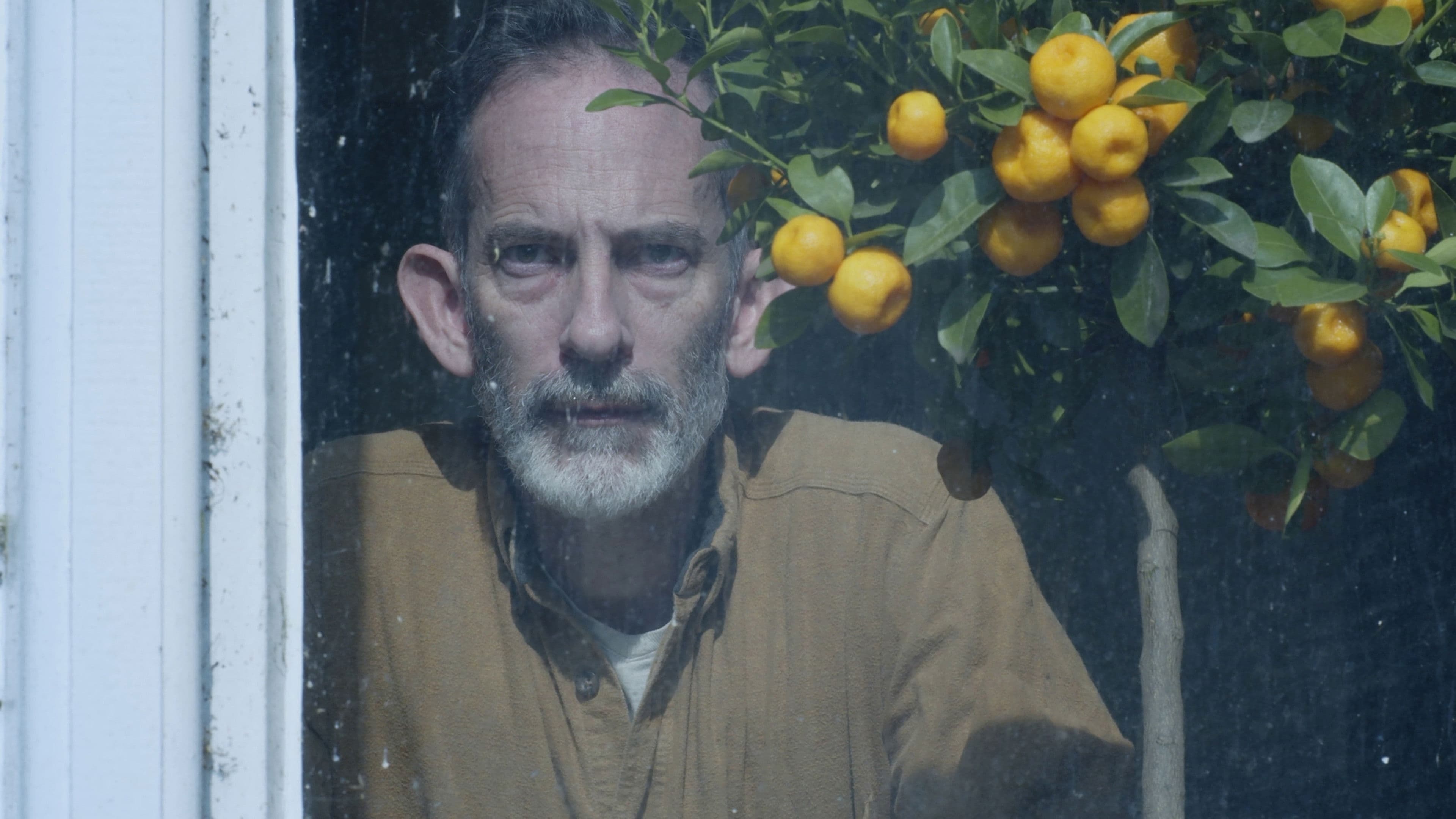 Poster backdrop for In The Moonlight