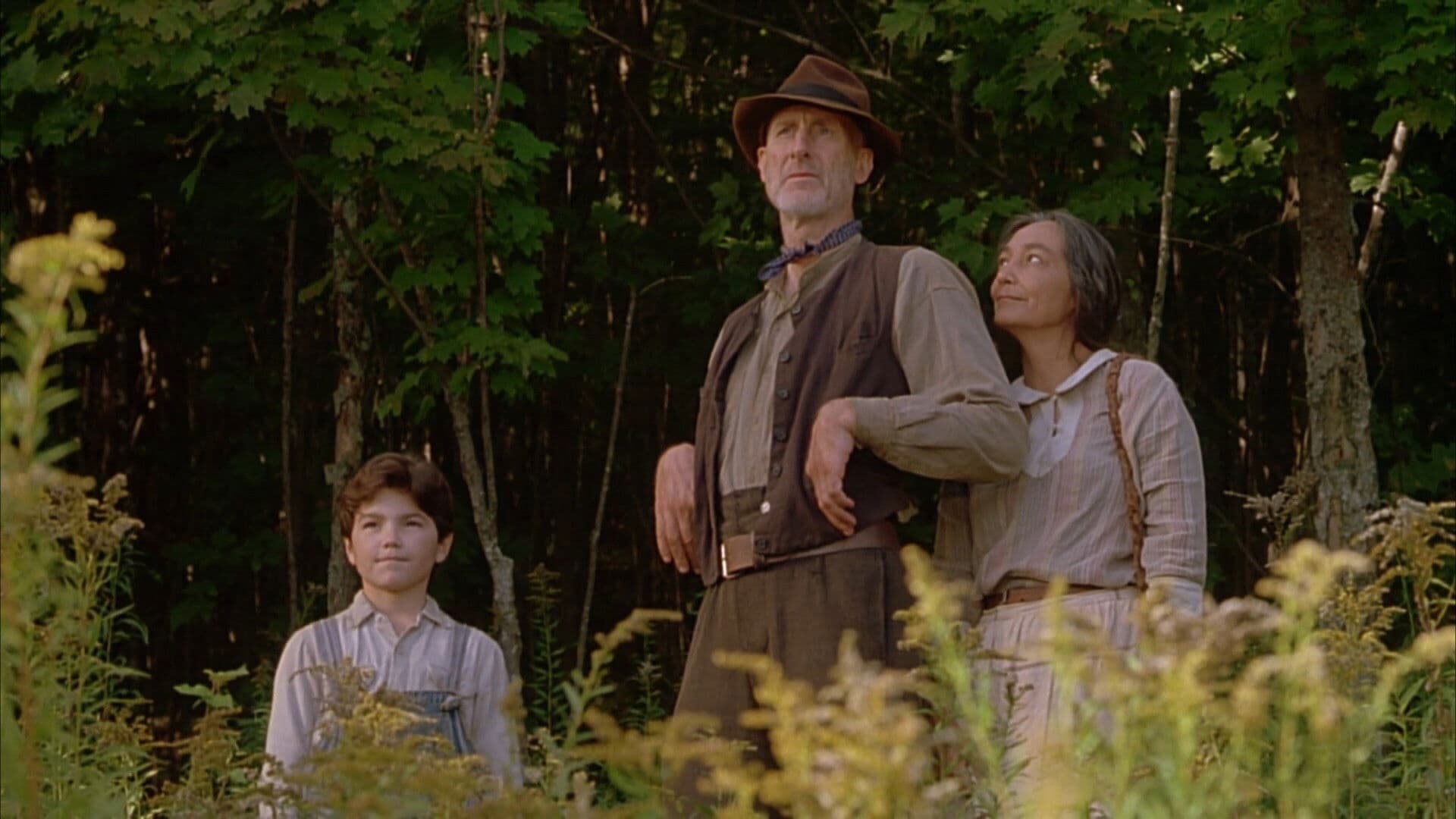 Poster backdrop for The Education of Little Tree