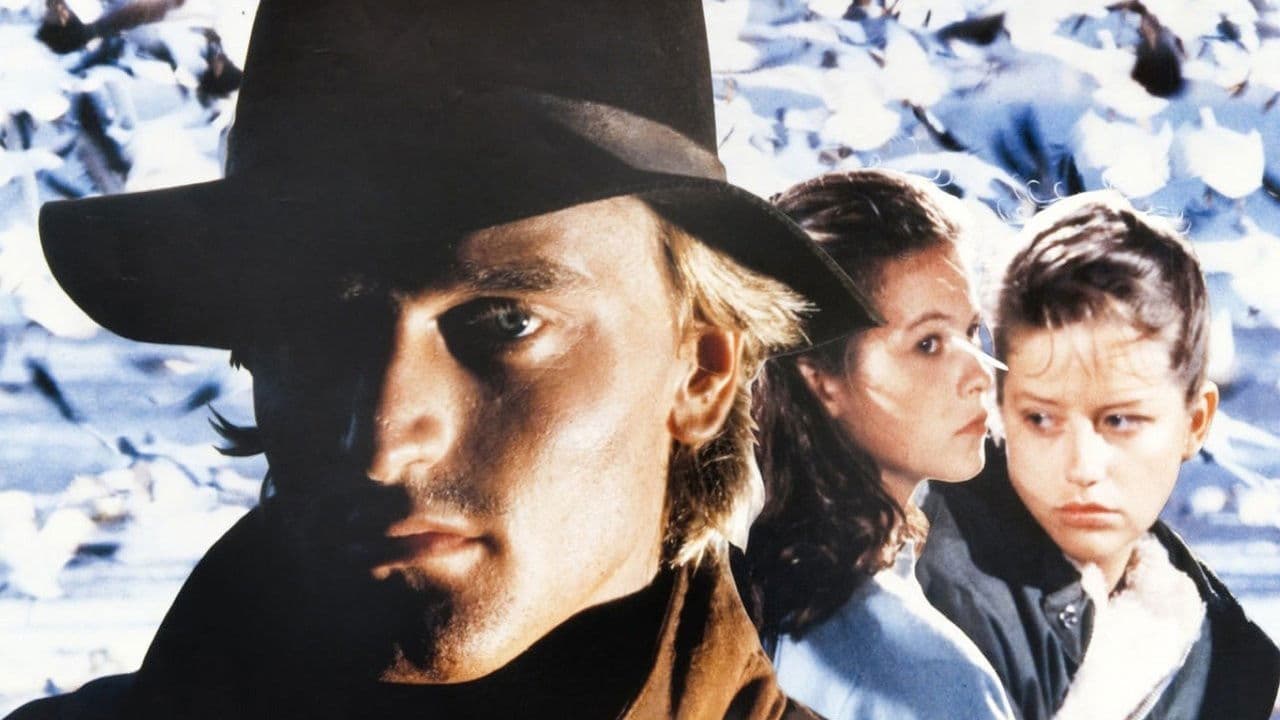 Poster backdrop for In the Shadow of the Wind