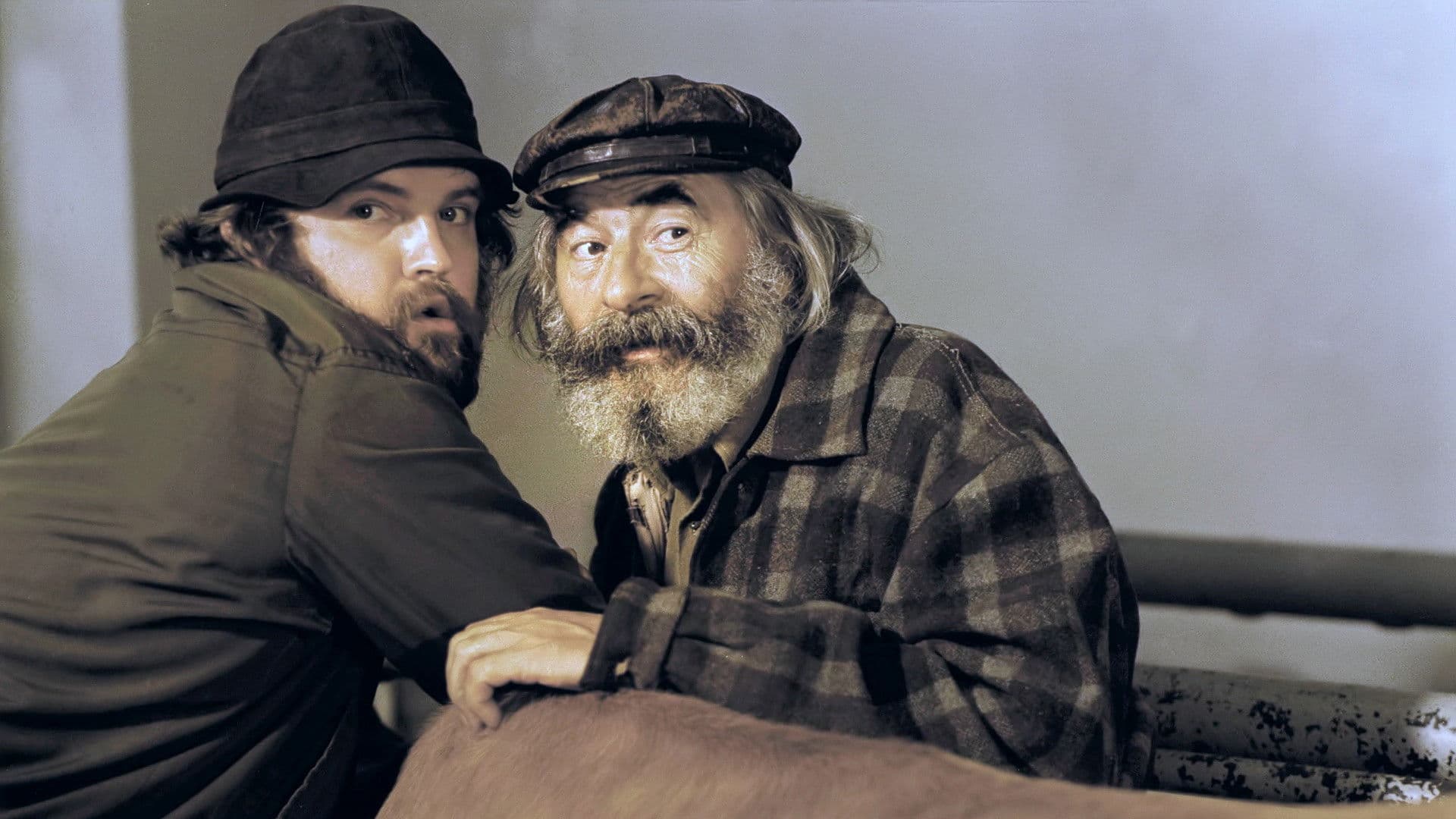 Poster backdrop for Natalia