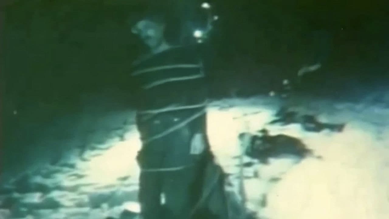 Poster backdrop for Haray