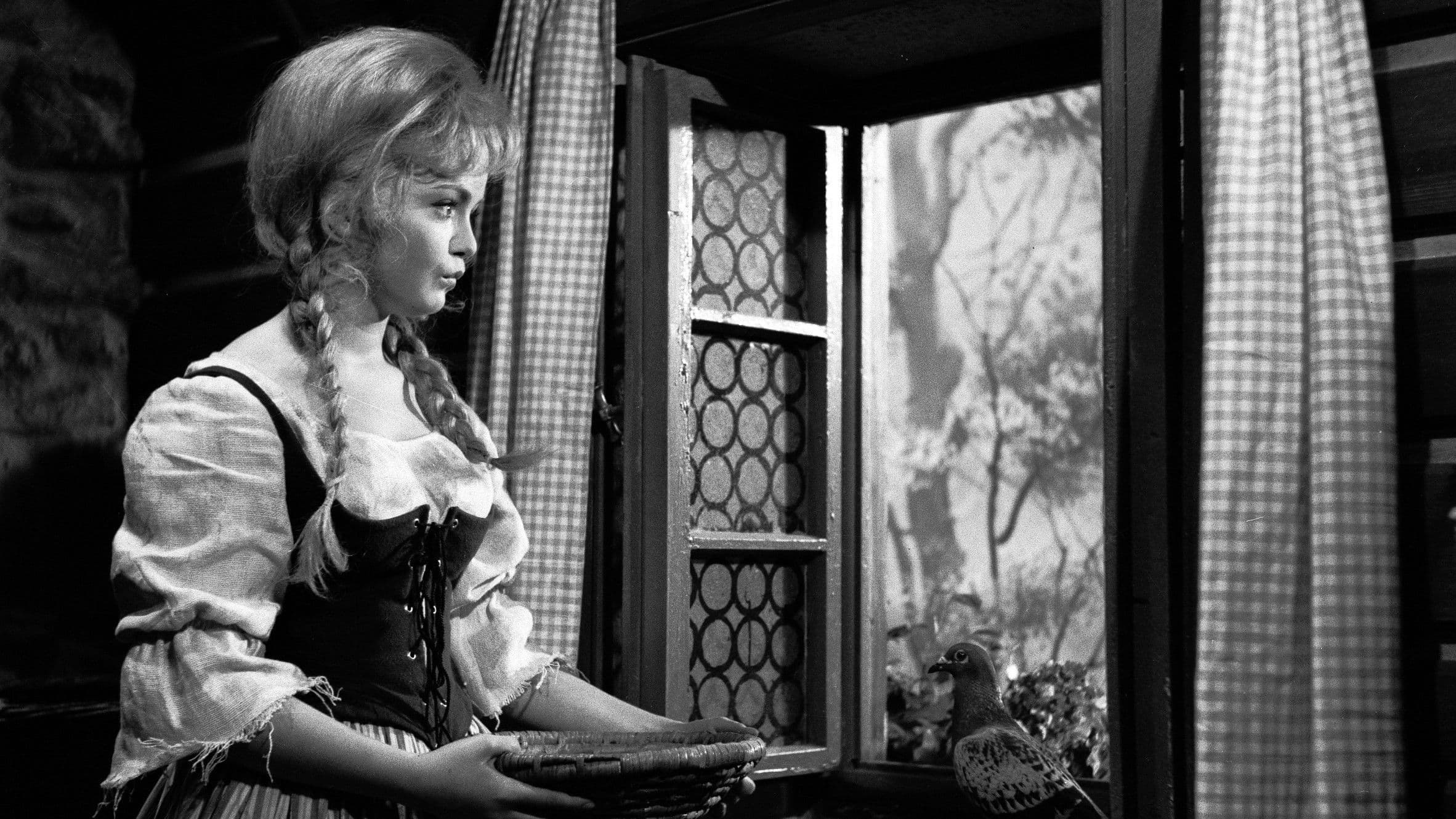 Poster backdrop for Cinderella