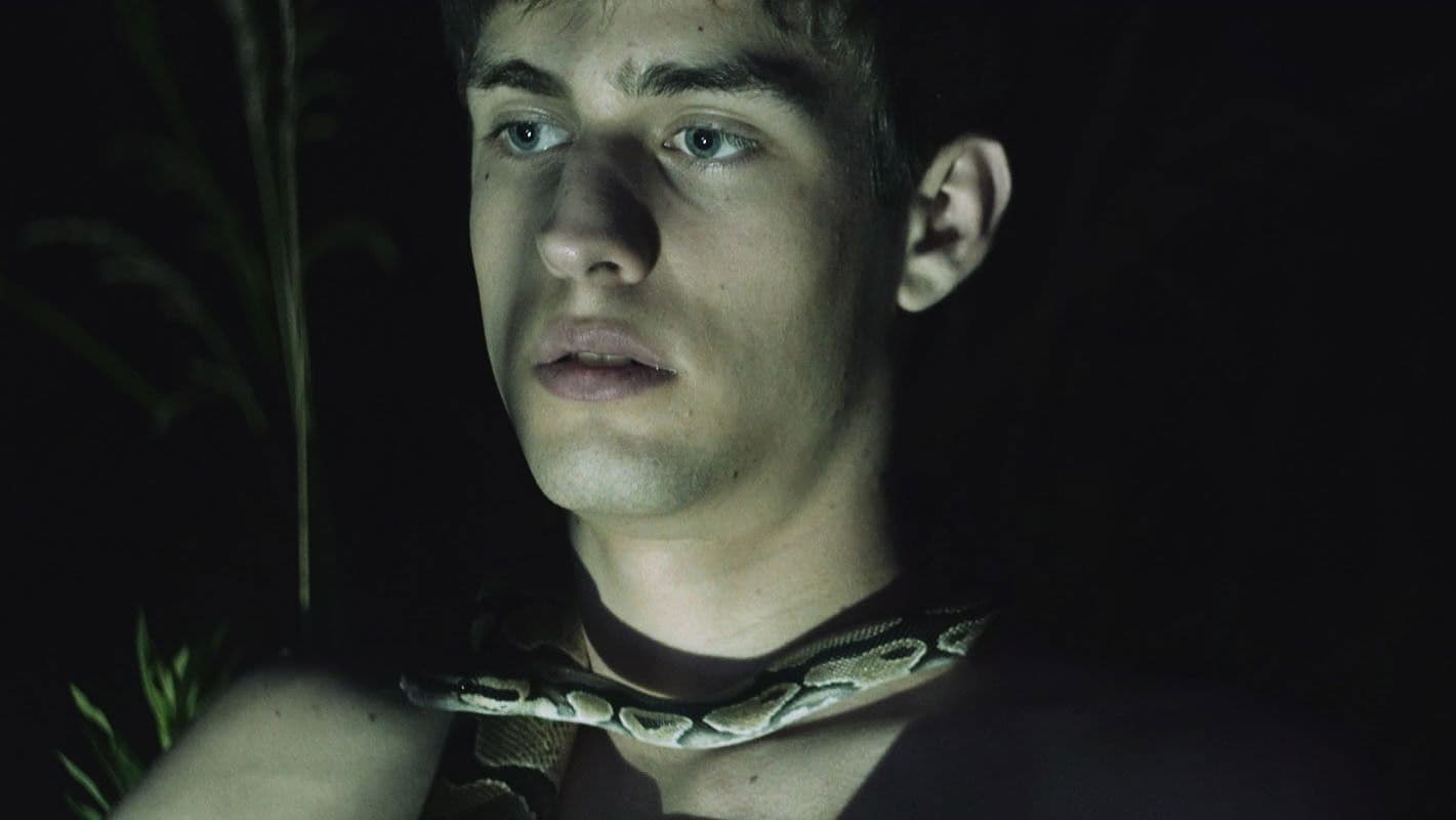 Poster backdrop for Viceroy