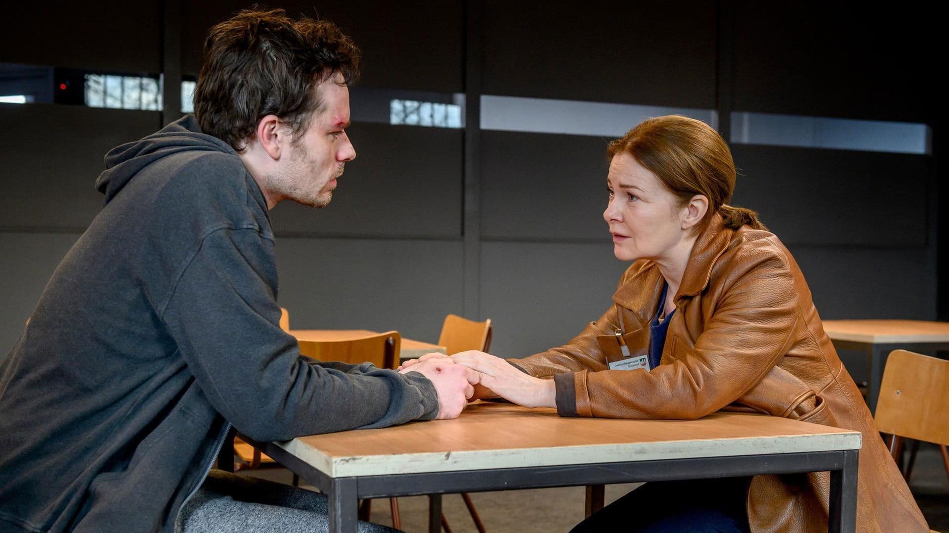 Poster backdrop for The Fox - In a Gilded Cage