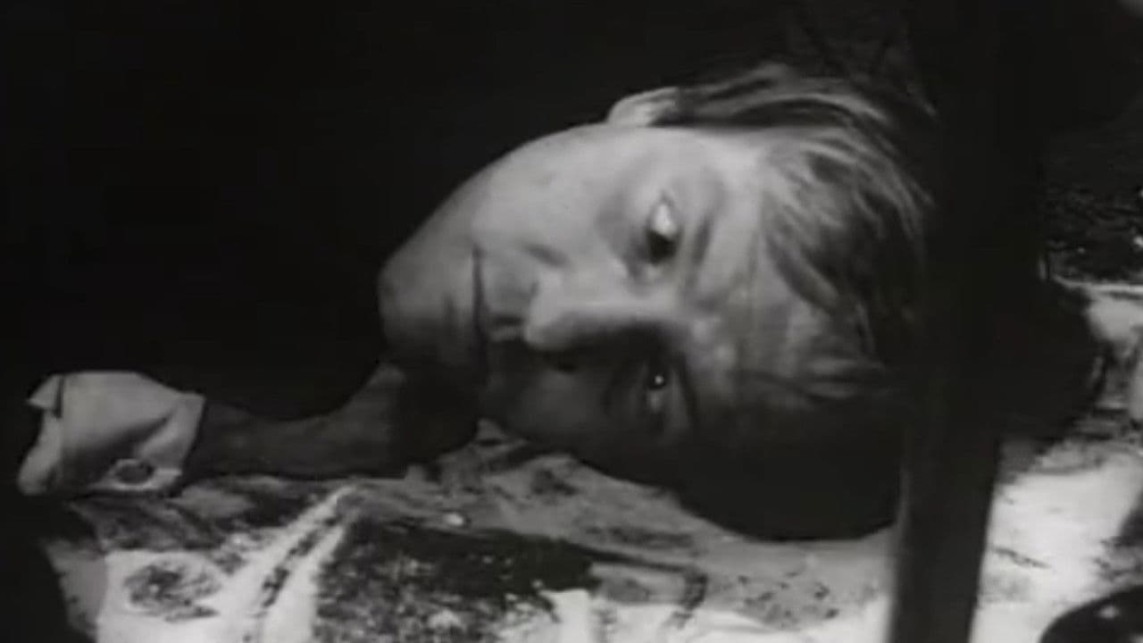 Poster backdrop for Chappaqua