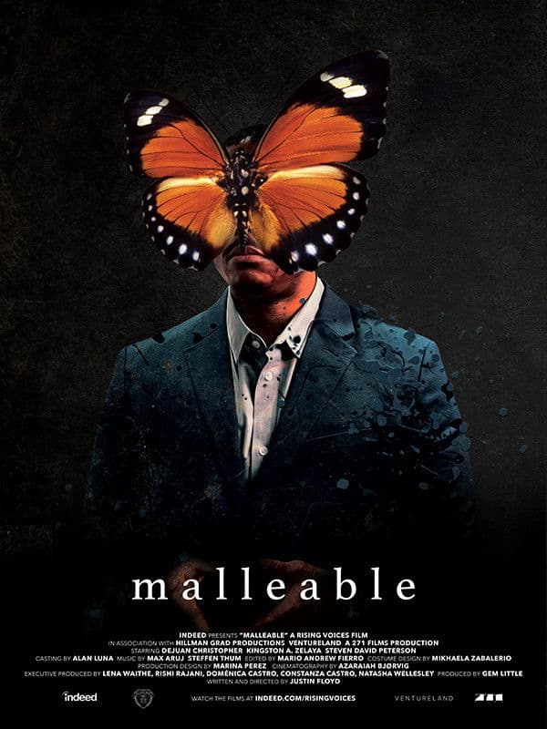 Poster backdrop for Malleable