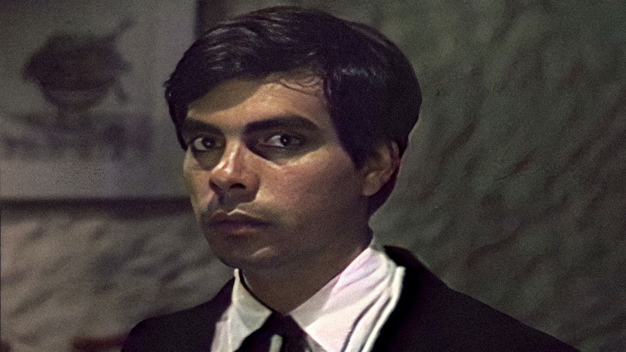 Poster backdrop for 27 Hours with the Dead