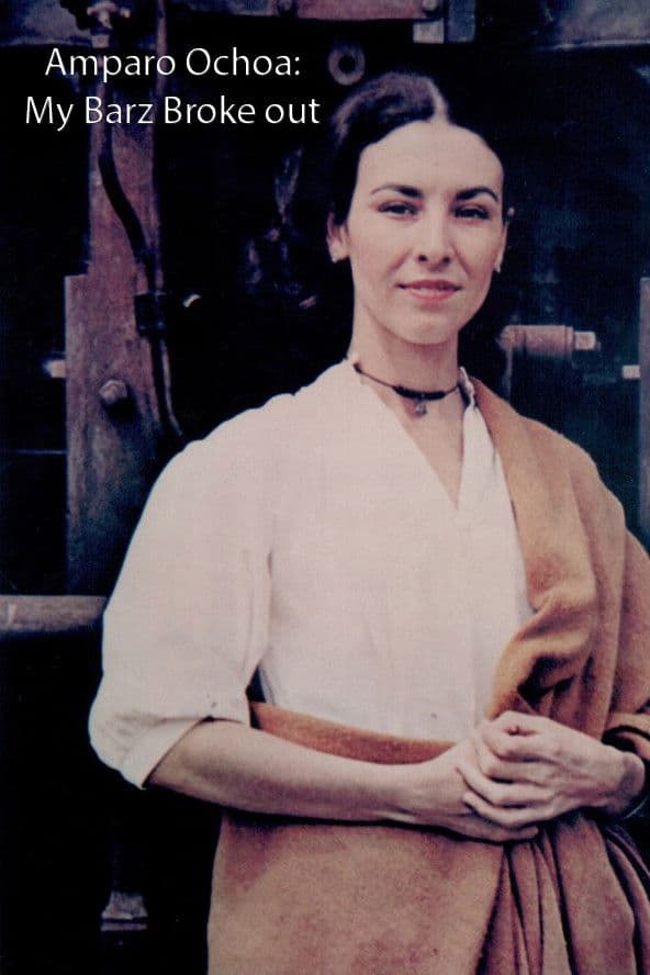 Poster backdrop for Amparo Ochoa: My Barz Broke out