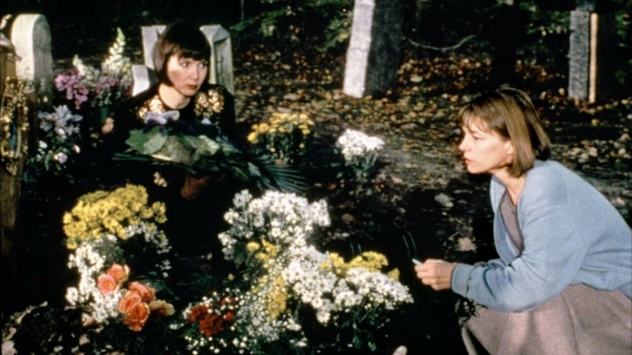 Poster backdrop for Black for Remembrance