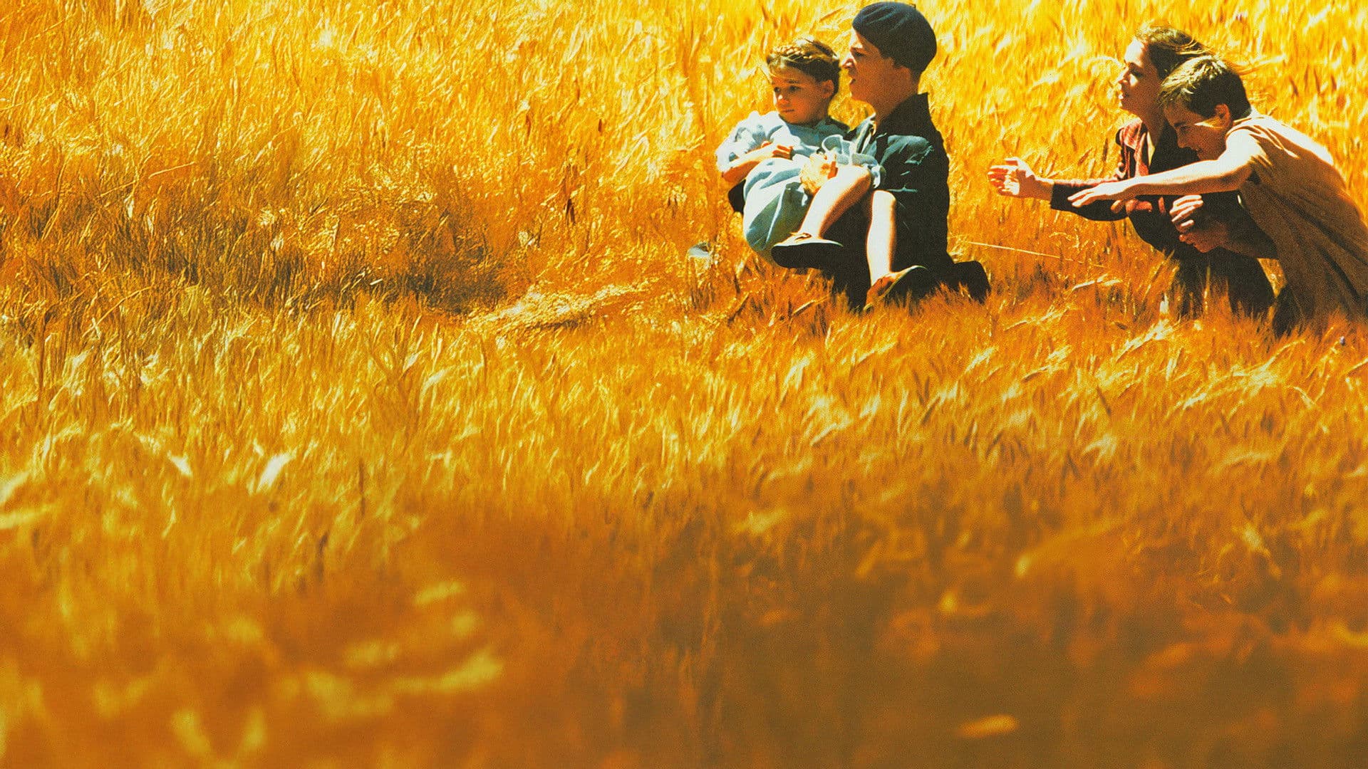 Poster backdrop for Strayed