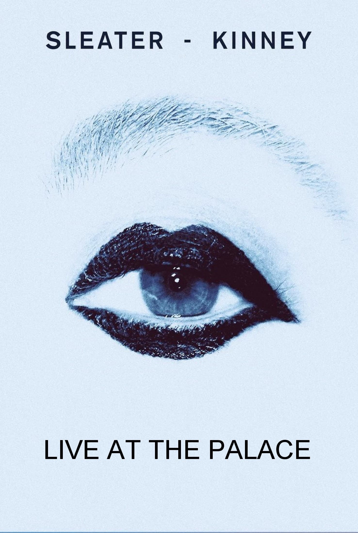 Poster backdrop for Sleater-Kinney Live at The Palace