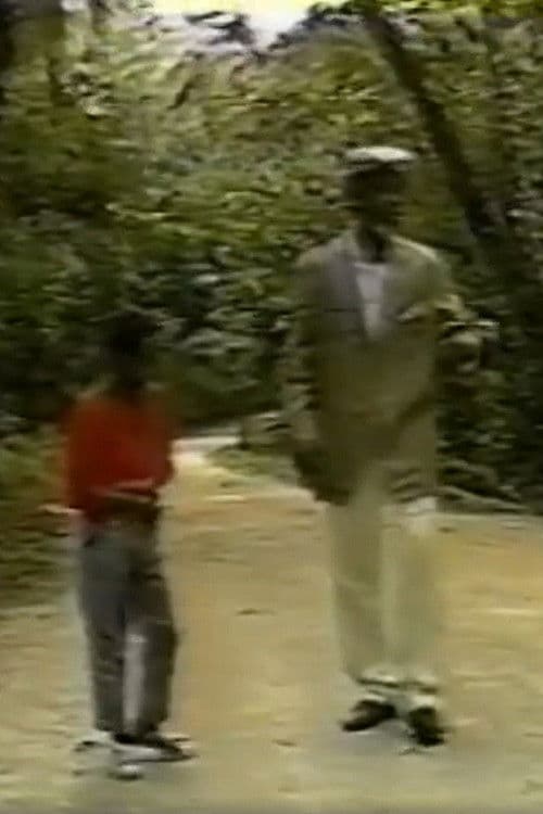 Poster backdrop for O Menino e o Velho