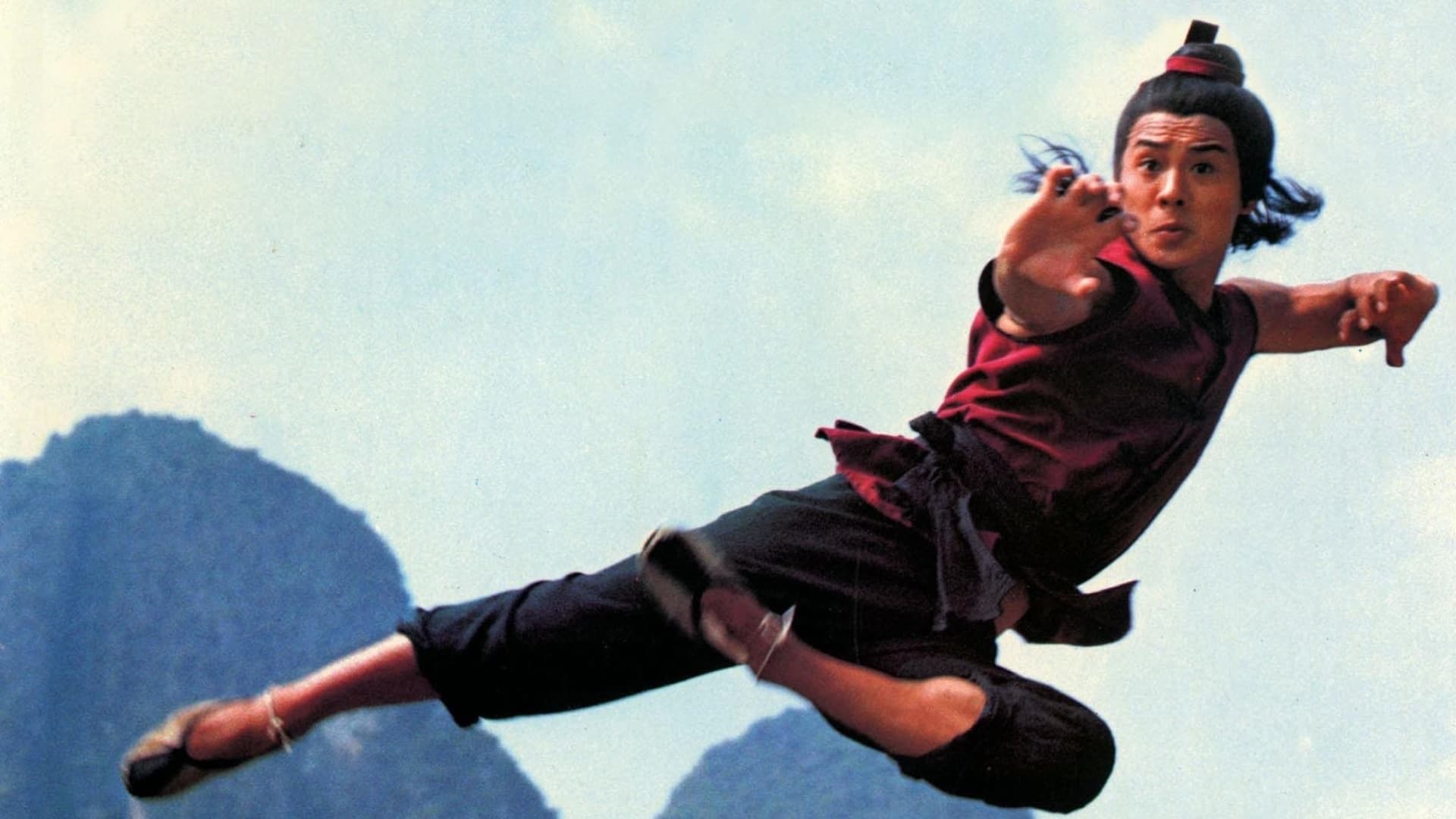 Poster backdrop for Kids from Shaolin