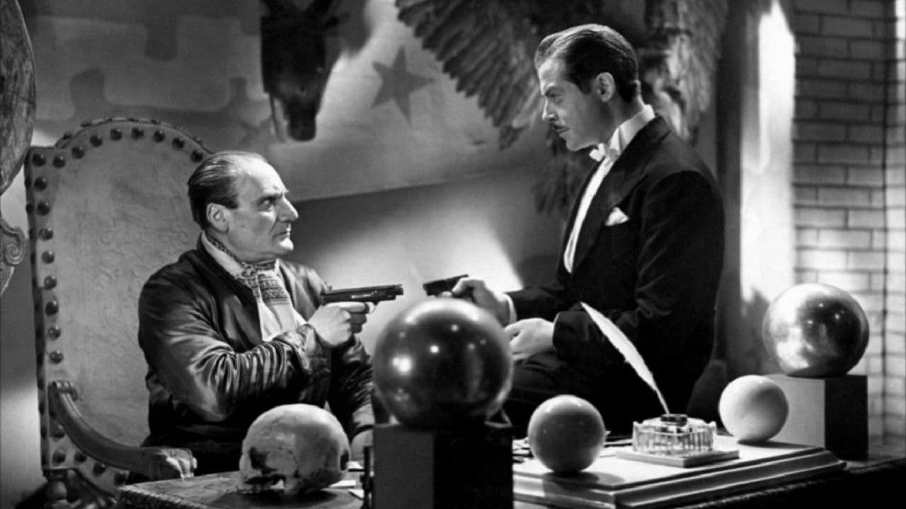 Poster backdrop for Fantastic Night