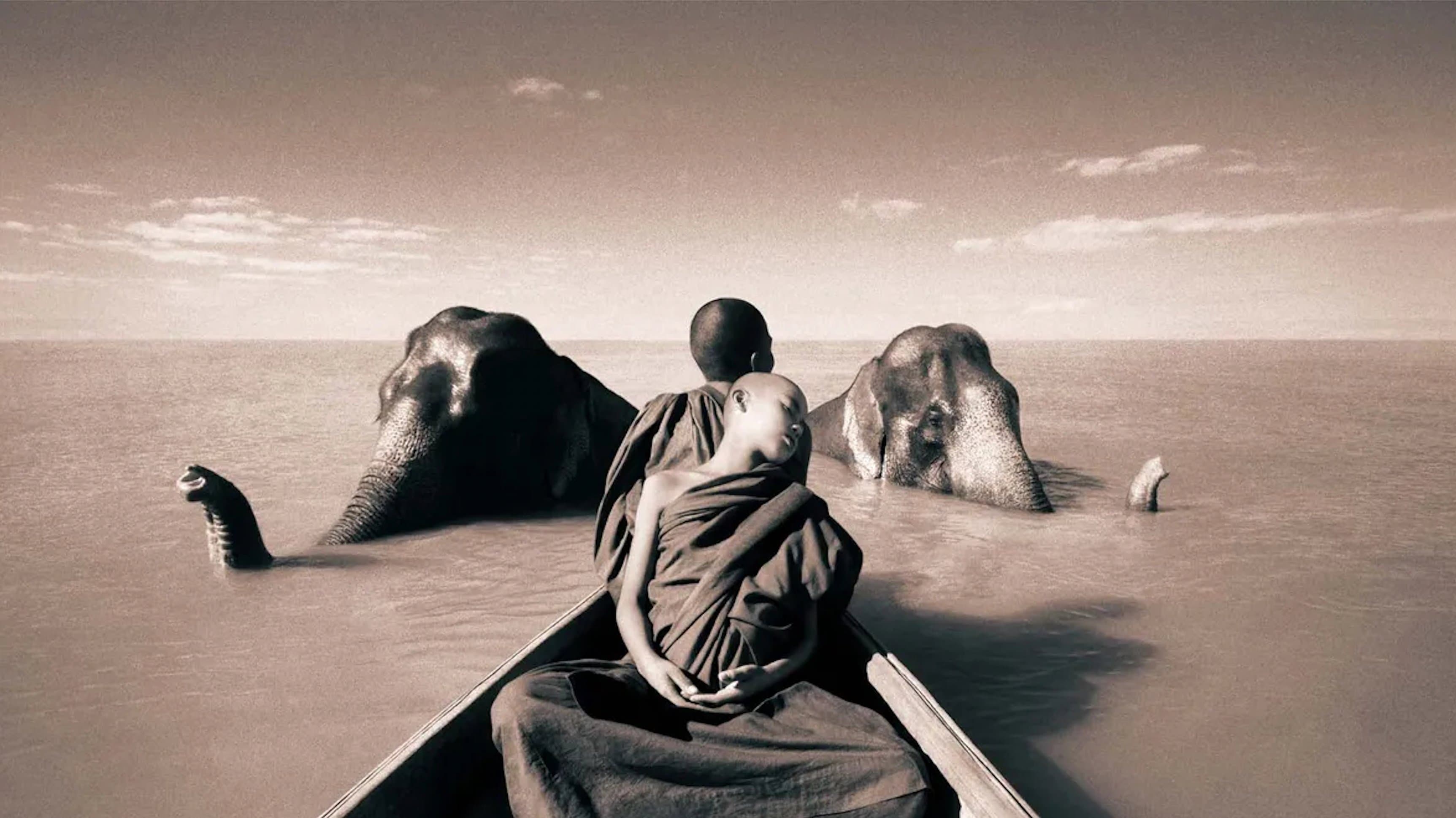 Poster backdrop for Ashes and Snow