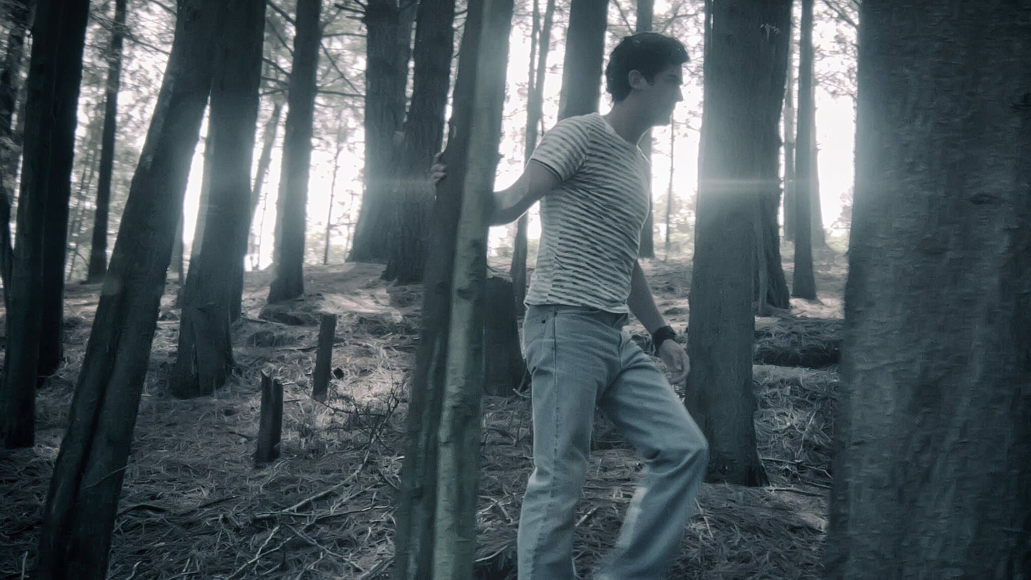 Poster backdrop for Romina