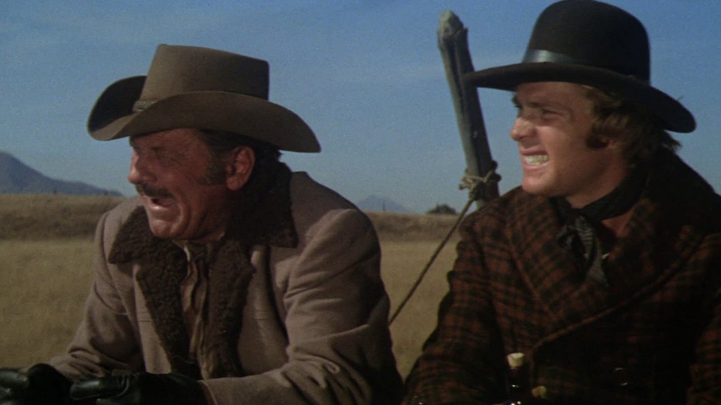 Poster backdrop for Wild Rovers